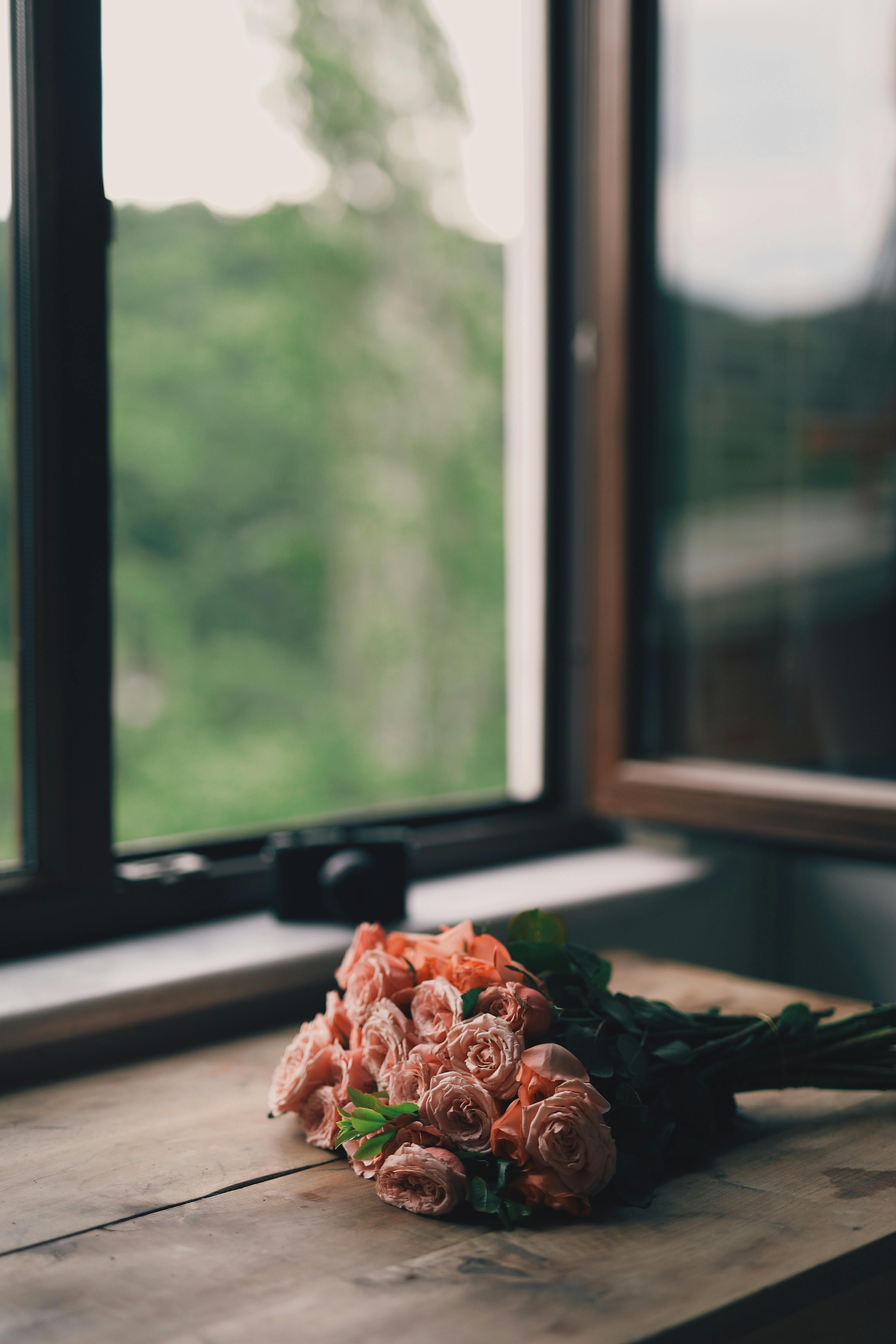 AI Comparison Infographic